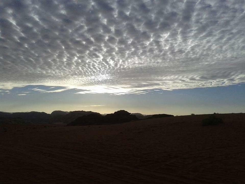 Wadi Rum Local Guide Camp Zewnętrze zdjęcie